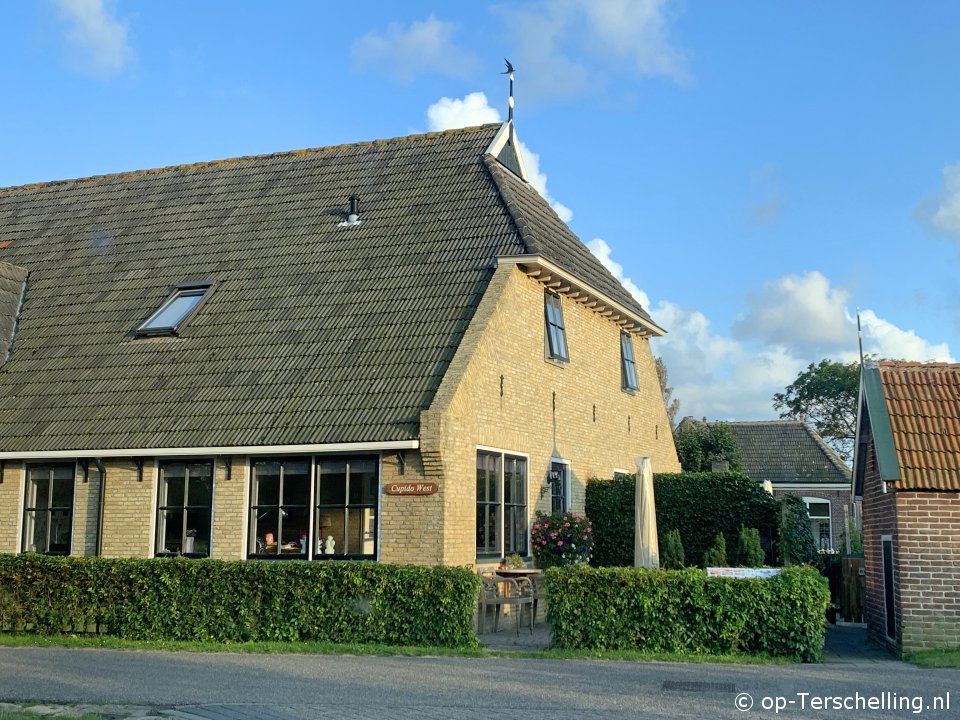 Cupido West, Smoke-free holiday accommodation on Terschelling