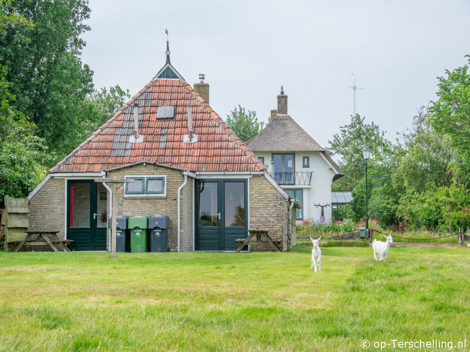 Doeke Neeke (West), To Terschelling with your dog