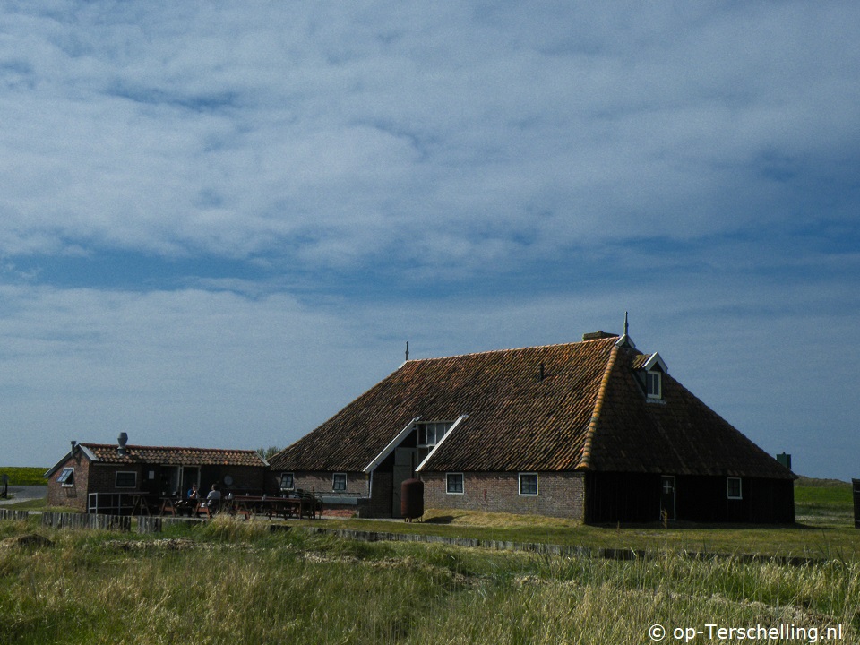 De Wierschuur, Holiday on Terschelling with dog