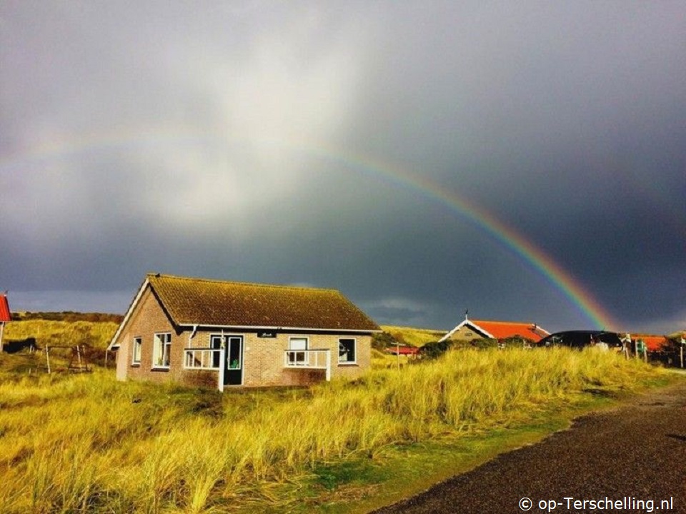 Pirola (Midsland aan Zee)