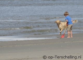 Holiday on Terschelling with dog