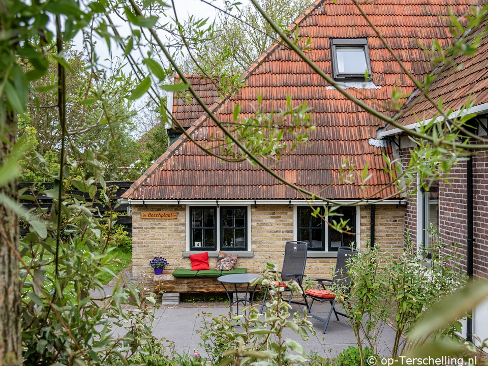 De Boschplaat, Holiday home on Terschelling for 2 persons