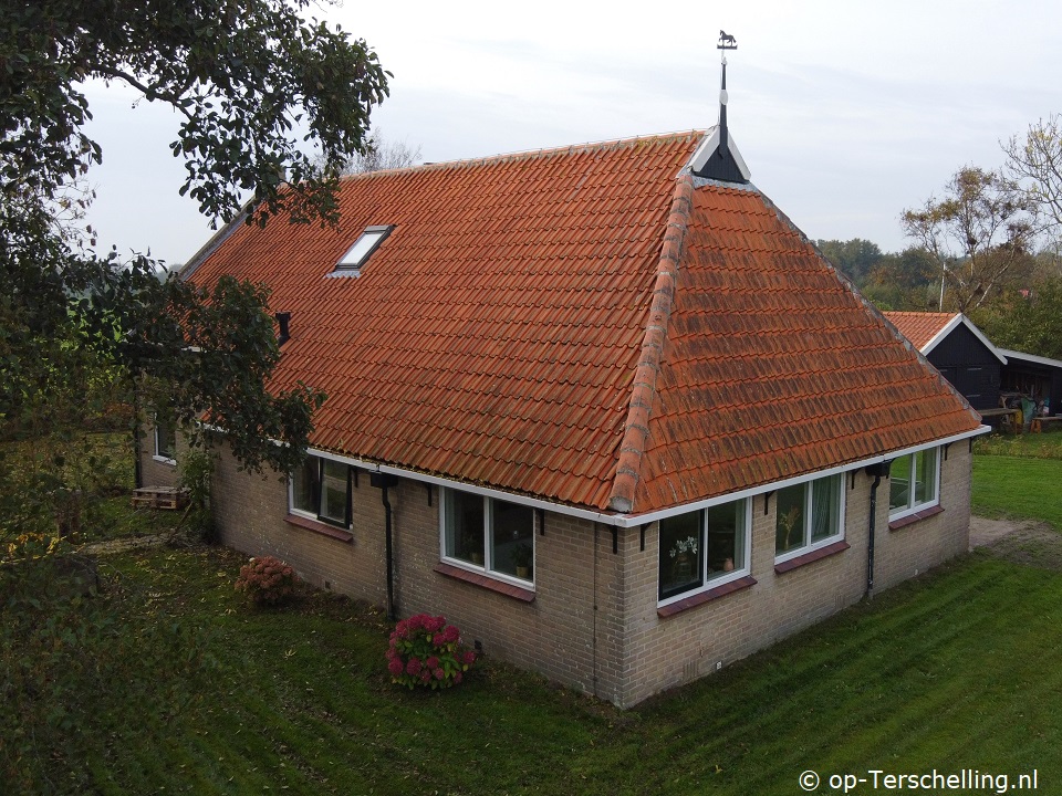 Douwes Plak, Spring on Terschelling