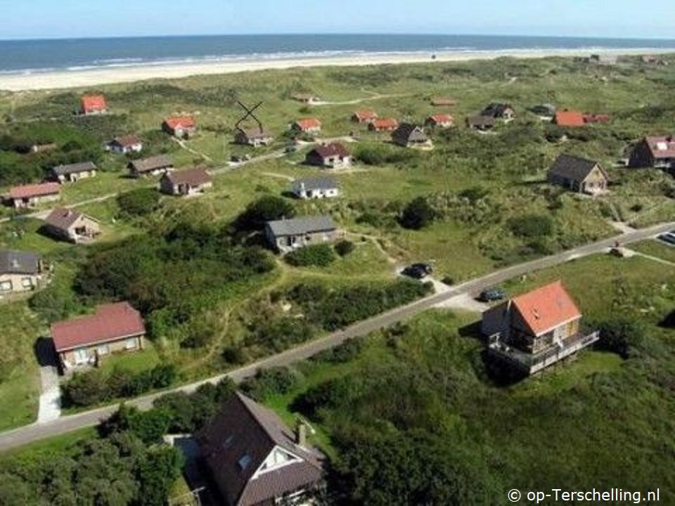 Pirola (Midsland aan Zee)