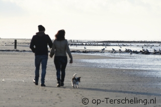 Holiday on Terschelling with dog